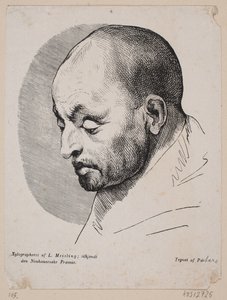 Kopf eines kahlen Mannes