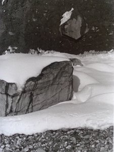 Vintage Schwarz-Weiß-Foto Nr. 3, 1985 von Peter McClure