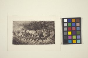 Regnerisches Wetter von Peter Moran