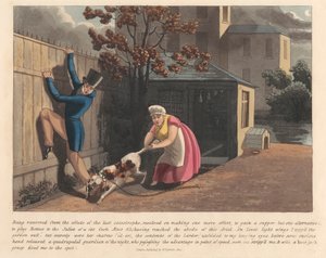 Eines von 6 (5): Ein Tagesjournal eines Schwamms von Peter Pasquin