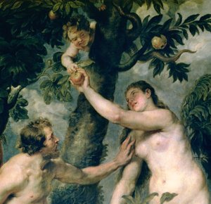 Adam und Eva (kopiert nach dem Gemälde von Tizian) (Detail) von Peter Paul Rubens