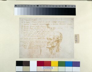 Ecorché-Kopf mit den Zügen des Kaisers Galba