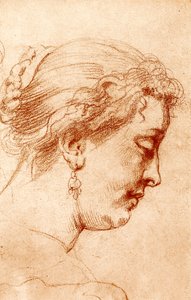 Weibliches Profil