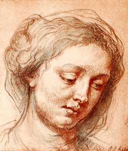 Mädchenkopf von Peter Paul Rubens