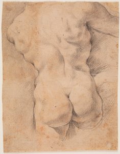 Männertorso von hinten gesehen von Peter Paul Rubens
