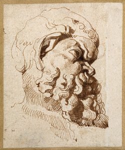 Studie eines antiken Kopfes von Silenus