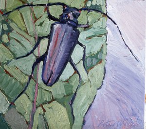 Moschusbockkäfer von Peter Wilson