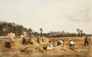 Kornfeld, Windsor