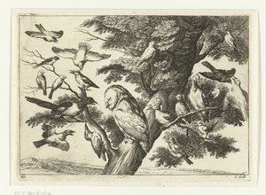 Vögel in einem Baum
