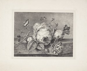 Blumenstillleben