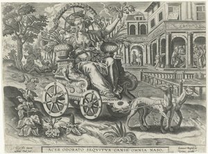 Geruch (Odoratvs)