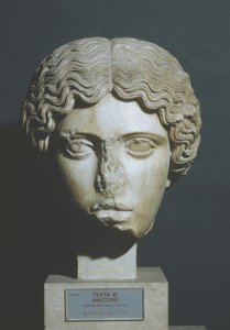 Kopf einer Amazone von Phidias Phidias