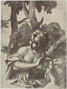 Ein Mädchen, das ihr Haar flechtet von Philip Henry Delamotte