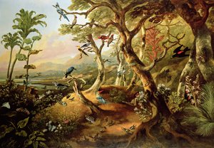 Exotische Vögel und Insekten zwischen Bäumen und Laub in einer bergigen Flusslandschaft