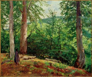 Schäfer mit Schafherde im Taunus
