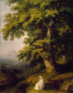 Der Wald von Camaldoli