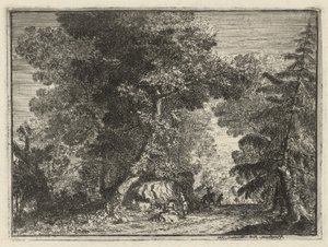Ein Weg durch den Wald