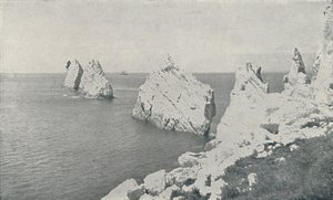 Die Nadeln, 1910
