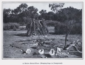 Ein einheimischer Begräbnisplatz, Weeping-Caps im Vordergrund (s/w Foto) von Photographer Australian