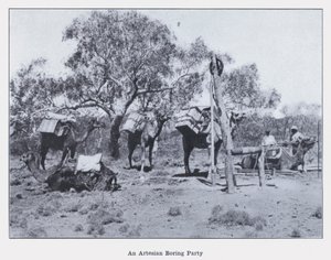 Eine artesische Bohrgruppe von Photographer Australian