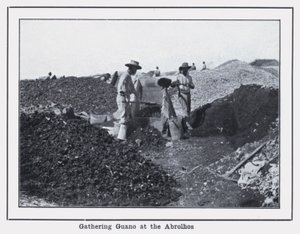 Guano-Sammlung bei den Abrolhos von Photographer Australian