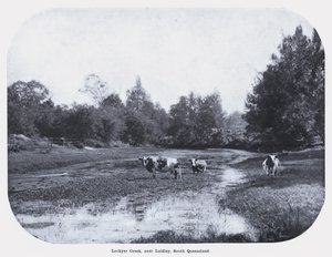 Lockyer Creek, nahe Laidley, Süd-Queensland