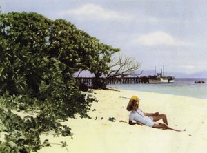 Queensland, Australien: Der tropische Strand von Photographer Australian