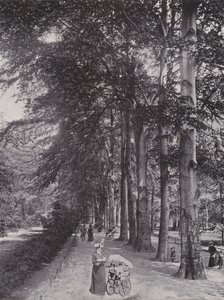 Im Tiergarten, Ein schattiger Weg von Photographer German
