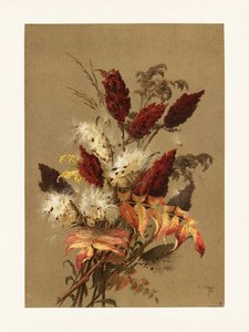 Sumach und Seidenpflanze von Ellen Thayer Fisher von Pictufy