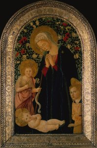 Die Madonna, die das Kind anbetet, mit dem kleinen Johannes dem Täufer, Engel und Rosenhecke im Hintergrund