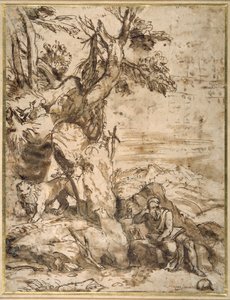 St. Hieronymus liest in der Wildnis, nach Tizian (ca. 1488-1576) von Pier Francesco Mola