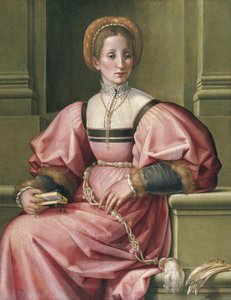 Porträt einer Dame von Pier Francesco di Jacopo Foschi
