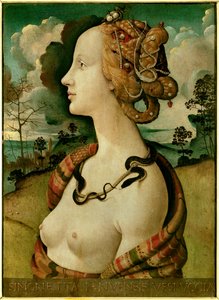Porträt einer Frau, genannt Simonetta Vespucci von Piero di Cosimo