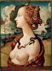 Porträt einer Frau, genannt Simonetta Vespucci von Piero di Cosimo