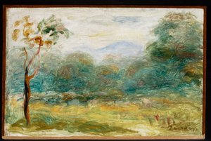 Landschaft in Südfrankreich (Cagnes-sur-Mer)
