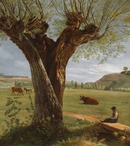 Kopfweide, nach 1804