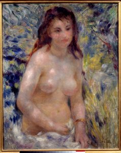 Studie eines Torsos, Sonnenlichteffekt