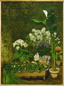Stillleben, Frühlingsblumen in einem Gewächshaus
