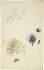 Studien von Bäumen und Laub