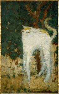Die weiße Katze von Pierre Bonnard
