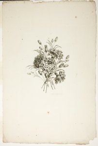 Blumenstrauß mit Nelken, aus der Sammlung verschiedener Blumensträuße, erfunden und gezeichnet von Jean Pillement und graviert von P. C. Canot von Pierre Charles Canot