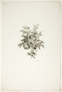 Blumenstrauß mit Pfingstrosen, aus Sammlung verschiedener Blumensträuße, erfunden und gezeichnet von Jean Pillement und graviert von P. C. Canot von Pierre Charles Canot