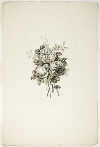 Blumenstrauß mit Rosen, aus Sammlung verschiedener Blumensträuße, erfunden und gezeichnet von Jean Pillement und graviert von P. C. Canot von Pierre Charles Canot