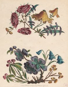 Zwei Zweige imaginärer Blumen von Pierre Charles Canot