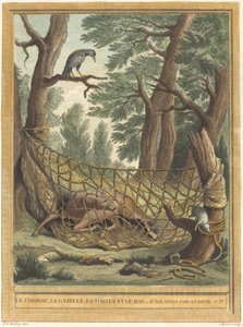 Der Rabe, die Gazelle, die Schildkröte und die Ratte von Pierre Chenu after Jean Baptiste Oudry