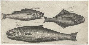 Seebarsch, Zunge und ein Lachs von Pierre Firens