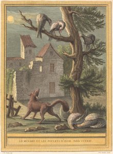 Der Fuchs und die Hühner aus Indien