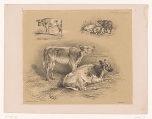 Drei Studien von Rindern von Pierre Frédéric Lehnert