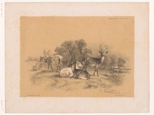Studie eines Rudels Rothirsche von Pierre Frédéric Lehnert
