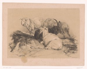 Studie von Schafen und Ziegen von Pierre Frédéric Lehnert